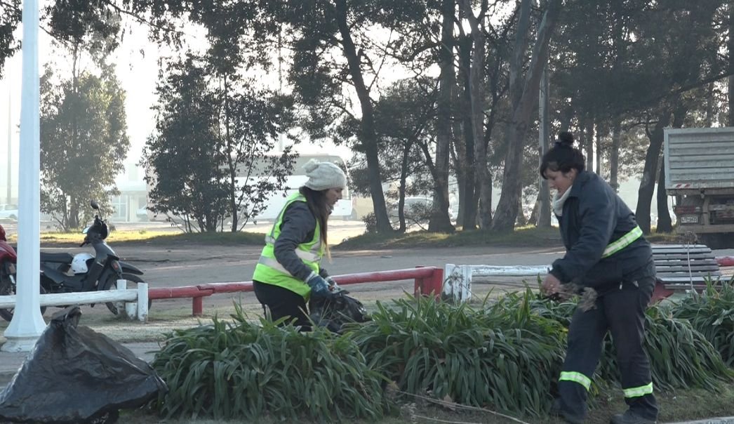 58% de las personas de los Jornales Solidarios no tiene carné de salud al día