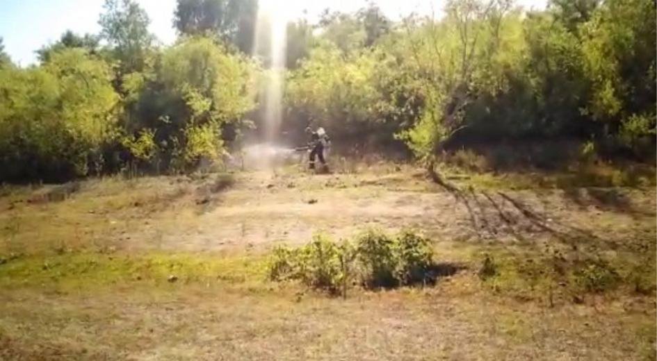 Fumigación contra mosquitos