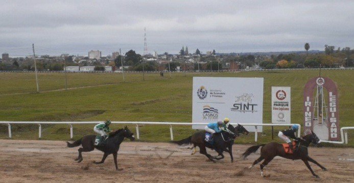 NOTICIAS DEL SINT