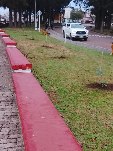 Laureles y Santa Ritas renuevan el paisaje urbano en Florida