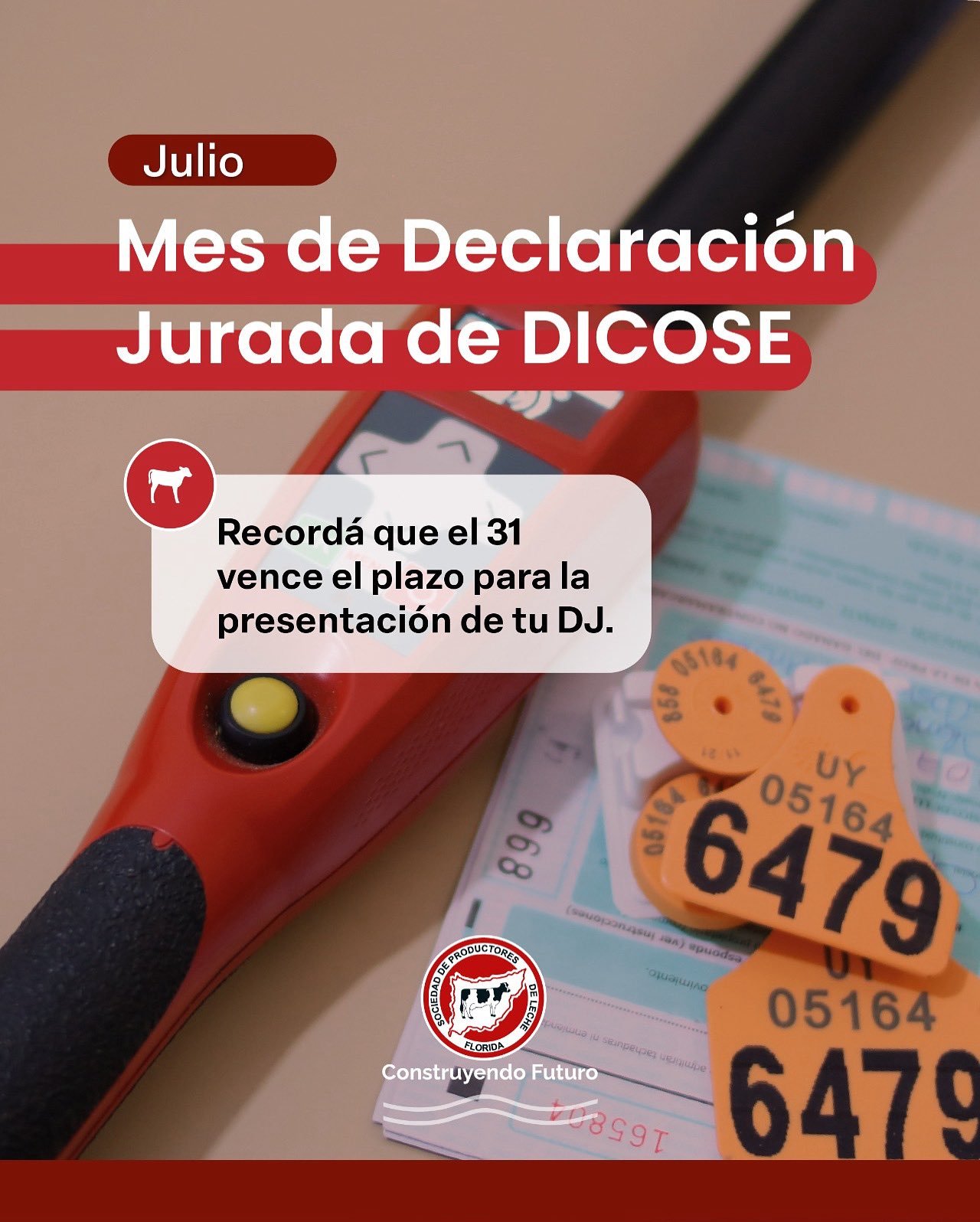 SPLF recuerda que el 31 de julio vence la Declaración Jurada de DICOSE