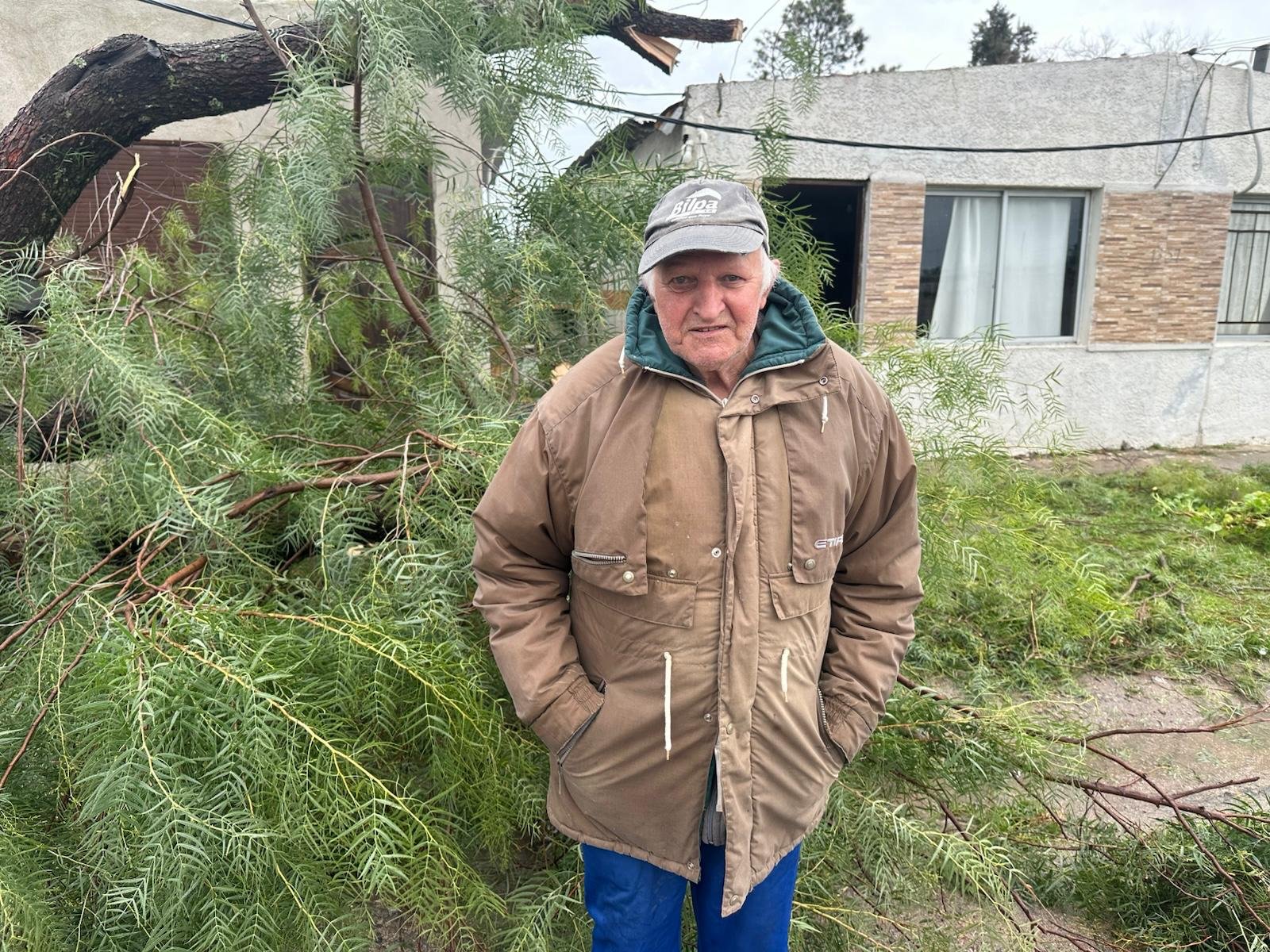 Árbol cae frente a vivienda y provoca corte de energía en Florida