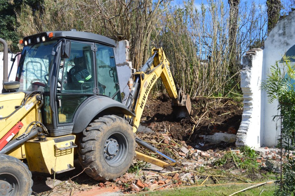 Intendencia de Florida derriba muro en riesgo por presión de árboles y cañaveral