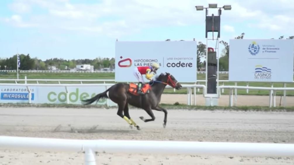 VICTORIA DE EL ANDALUZ LAS PIEDRAS