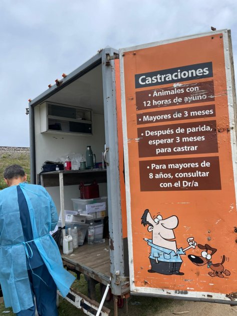 Jornadas gratuitas de castración y chipeo en Chacras de Florida y Renacer Pintado